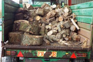Some logs ready to be split at depot.